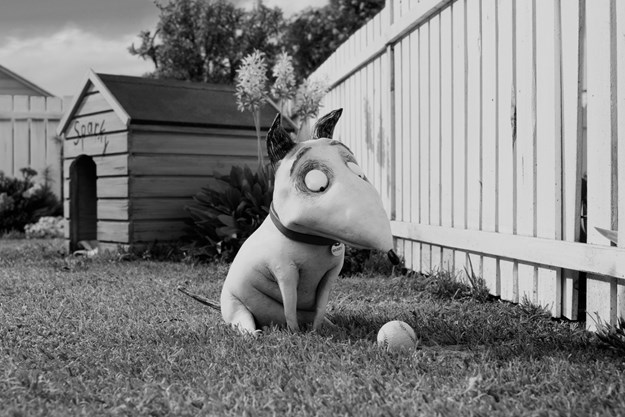 https://images.derstandard.at/t/M625/movies/2012/12018/160118223337130_7_frankenweenie_aufm4.jpg https://images.derstandard.at/t/M625/movies/2012/12018/160118223337130_7_frankenweenie_aufm4.jpg