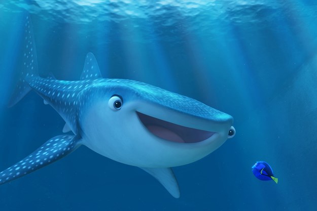 https://images.derstandard.at/t/M625/movies/2016/17892/170328223113012_11_findet-dorie_aufm03.jpg https://images.derstandard.at/t/M625/movies/2016/17892/170328223113012_11_findet-dorie_aufm03.jpg