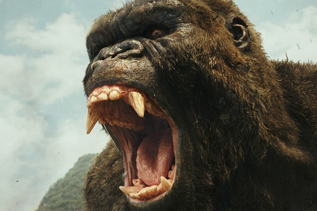 https://images.derstandard.at/t/M625/movies/2016/20096/171116223049538_15_kong-skull-island_aufm03.jpg https://images.derstandard.at/t/M625/movies/2016/20096/171116223049538_15_kong-skull-island_aufm03.jpg