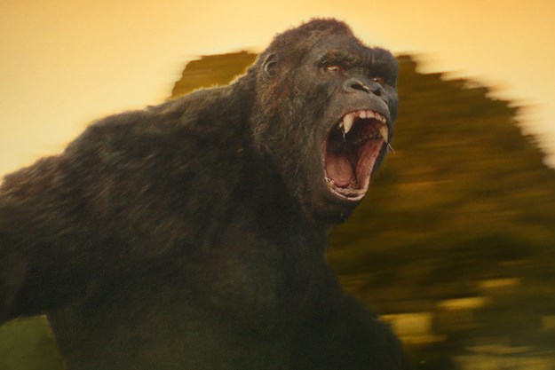 https://images.derstandard.at/t/M625/movies/2016/20096/171116223049788_12_kong-skull-island_aufm04.jpg https://images.derstandard.at/t/M625/movies/2016/20096/171116223049788_12_kong-skull-island_aufm04.jpg