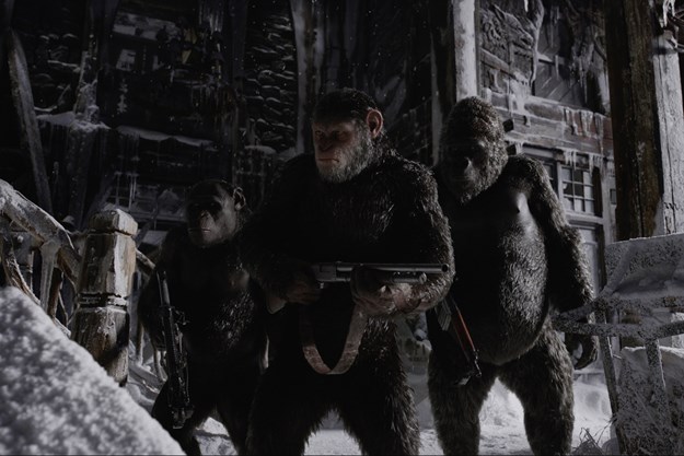 https://images.derstandard.at/t/M625/movies/2016/20456/170908223031766_19_planet-der-affen-survival_aufm02.jpg https://images.derstandard.at/t/M625/movies/2016/20456/170908223031766_19_planet-der-affen-survival_aufm02.jpg