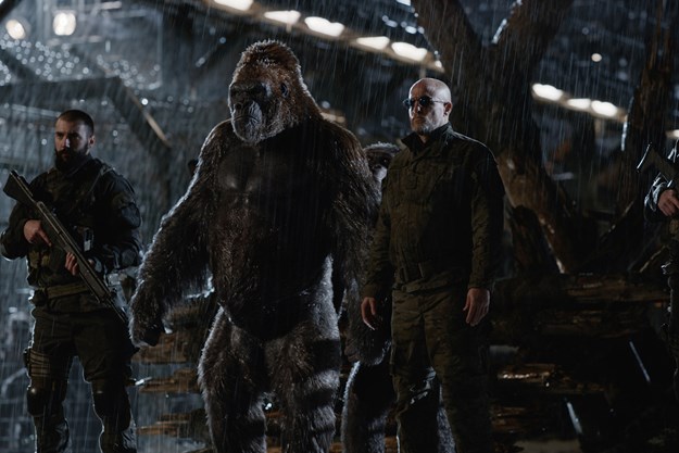 https://images.derstandard.at/t/M625/movies/2016/20456/170908223032001_13_planet-der-affen-survival_aufm03.jpg https://images.derstandard.at/t/M625/movies/2016/20456/170908223032001_13_planet-der-affen-survival_aufm03.jpg