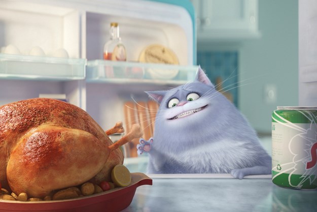 https://images.derstandard.at/t/M625/movies/2016/21829/170320223241635_8_pets_aufm02.jpg https://images.derstandard.at/t/M625/movies/2016/21829/170320223241635_8_pets_aufm02.jpg