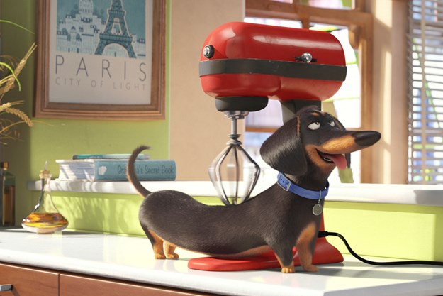 https://images.derstandard.at/t/M625/movies/2016/21829/170320223242201_9_pets_aufm03.jpg https://images.derstandard.at/t/M625/movies/2016/21829/170320223242201_9_pets_aufm03.jpg