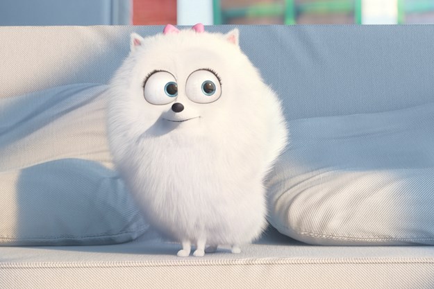 https://images.derstandard.at/t/M625/movies/2016/21829/170320223242892_9_pets_aufm04.jpg https://images.derstandard.at/t/M625/movies/2016/21829/170320223242892_9_pets_aufm04.jpg