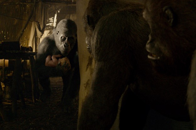 https://images.derstandard.at/t/M625/movies/2016/22795/171226223026281_7_legend-of-tarzan_aufm04.jpg https://images.derstandard.at/t/M625/movies/2016/22795/171226223026281_7_legend-of-tarzan_aufm04.jpg