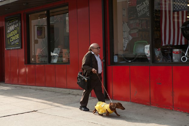 https://images.derstandard.at/t/M625/movies/2016/23616/160727223055927_8_wiener-dog_aufm02.jpg https://images.derstandard.at/t/M625/movies/2016/23616/160727223055927_8_wiener-dog_aufm02.jpg