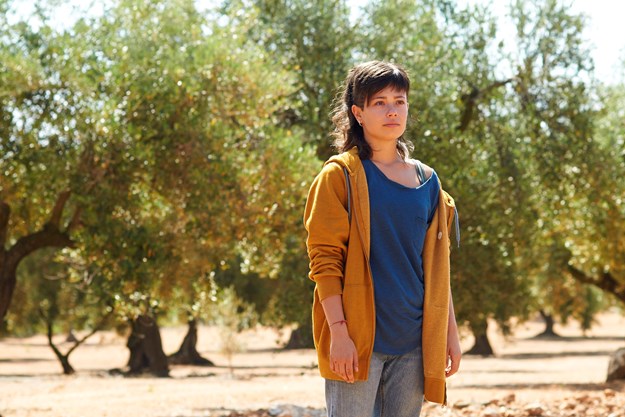 https://images.derstandard.at/t/M625/movies/2016/23724/160826223040707_8_el-olivo-der-olivenbaum_aufm02.jpg https://images.derstandard.at/t/M625/movies/2016/23724/160826223040707_8_el-olivo-der-olivenbaum_aufm02.jpg