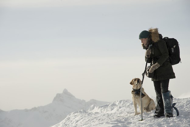 https://images.derstandard.at/t/M625/movies/2017/24667/180113223017540_12_zwischen-zwei-leben-the-mountain-between-us_aufm03.jpg https://images.derstandard.at/t/M625/movies/2017/24667/180113223017540_12_zwischen-zwei-leben-the-mountain-between-us_aufm03.jpg