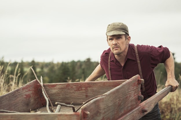 https://images.derstandard.at/t/M625/movies/2017/24742/171031223121020_8_maudie_aufm03.jpg https://images.derstandard.at/t/M625/movies/2017/24742/171031223121020_8_maudie_aufm03.jpg