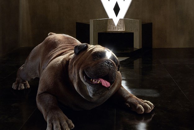 https://images.derstandard.at/t/M625/movies/2017/26101/170921223006451_7_marvel-s-inhumans_aufm04.jpg https://images.derstandard.at/t/M625/movies/2017/26101/170921223006451_7_marvel-s-inhumans_aufm04.jpg