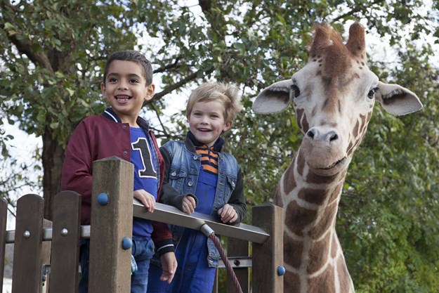 https://images.derstandard.at/t/M625/movies/2017/26223/180301223020371_16_mein-freund-die-giraffe_aufm05.jpg https://images.derstandard.at/t/M625/movies/2017/26223/180301223020371_16_mein-freund-die-giraffe_aufm05.jpg