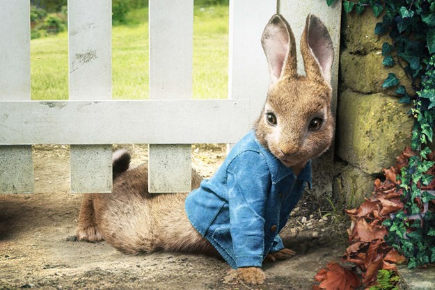 https://images.derstandard.at/t/M625/movies/2018/24698/180801223022325_7_peter-hase_aufm02.jpg https://images.derstandard.at/t/M625/movies/2018/24698/180801223022325_7_peter-hase_aufm02.jpg