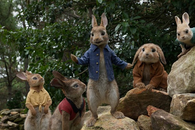 https://images.derstandard.at/t/M625/movies/2018/24698/180801223022858_17_peter-hase_aufm03.jpg https://images.derstandard.at/t/M625/movies/2018/24698/180801223022858_17_peter-hase_aufm03.jpg