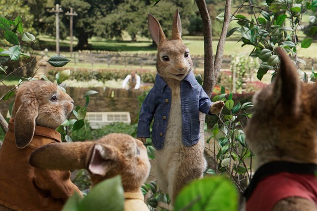 https://images.derstandard.at/t/M625/movies/2018/24698/180801223023093_7_peter-hase_aufm04.jpg https://images.derstandard.at/t/M625/movies/2018/24698/180801223023093_7_peter-hase_aufm04.jpg