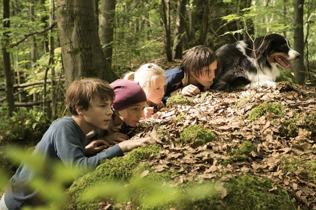 https://images.derstandard.at/t/M625/movies/2018/26824/180307223024416_12_fuenf-freunde-und-das-tal-der-dinosaurier_aufm06.jpg https://images.derstandard.at/t/M625/movies/2018/26824/180307223024416_12_fuenf-freunde-und-das-tal-der-dinosaurier_aufm06.jpg