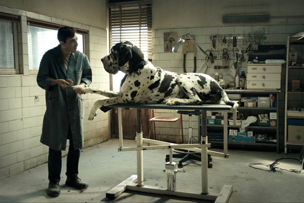 https://images.derstandard.at/t/M625/movies/2018/27674/181031223007664_14_dogman_aufm02.jpg https://images.derstandard.at/t/M625/movies/2018/27674/181031223007664_14_dogman_aufm02.jpg