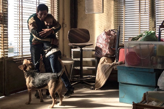 https://images.derstandard.at/t/M625/movies/2018/27674/181031223007994_14_dogman_aufm03.jpg https://images.derstandard.at/t/M625/movies/2018/27674/181031223007994_14_dogman_aufm03.jpg