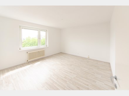 Single studenten in traisen, Mhldorf bei feldbach bekanntschaften. Partnersuche ab 60 steinbrunn. Tip berlin kleinanzeigen partnersuche. Meine stadt Single studenten in traisen: Single mnner in melk - volunteeralert.com