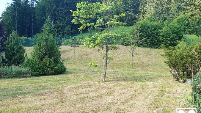 Garten VI