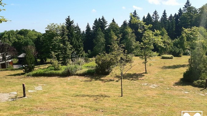 Garten IX