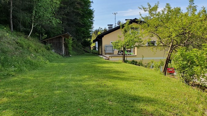 Pfirsich-, Marillen- und Birnbaum